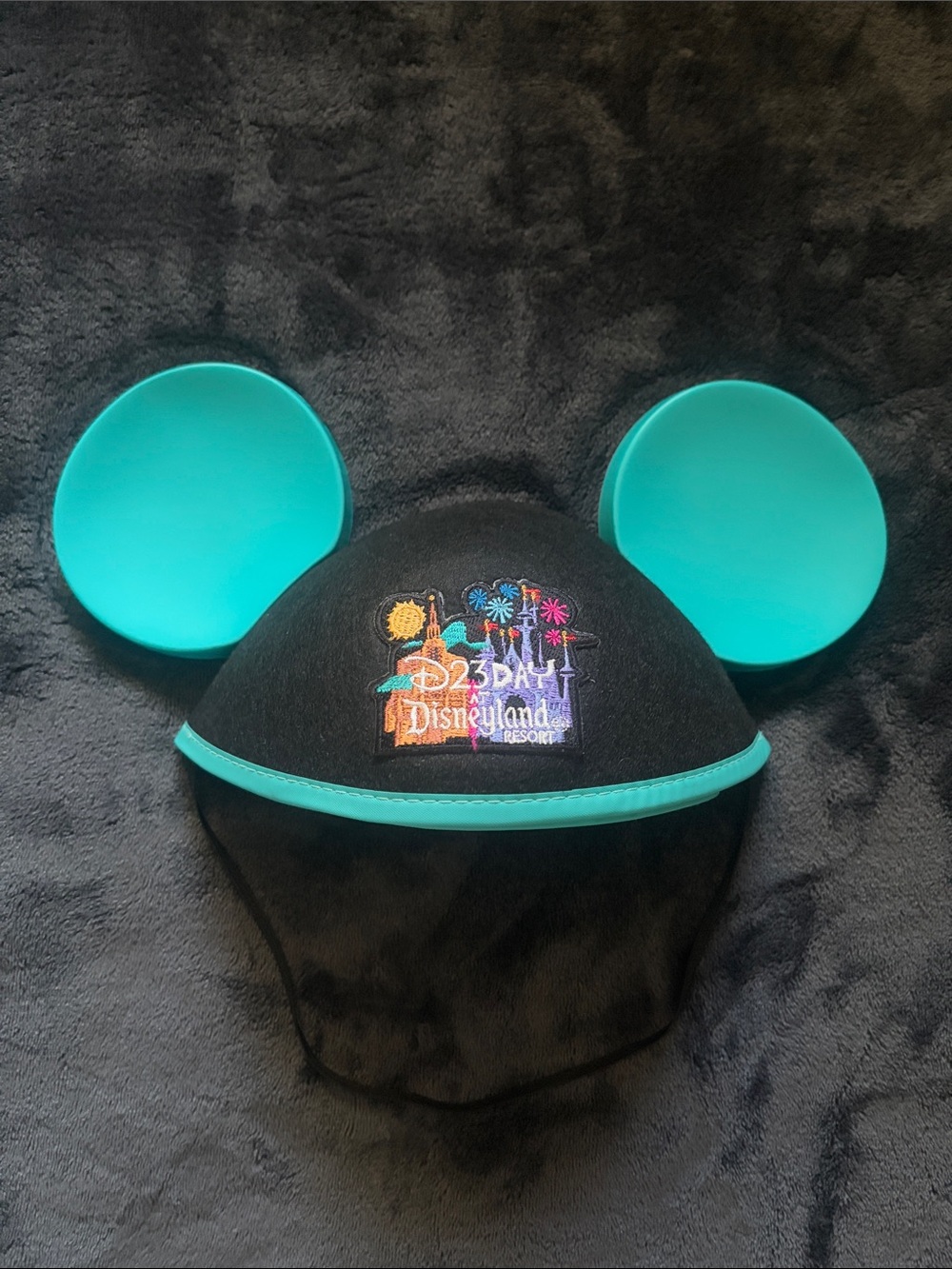 D23 Day at Disneyland Mickey Ears